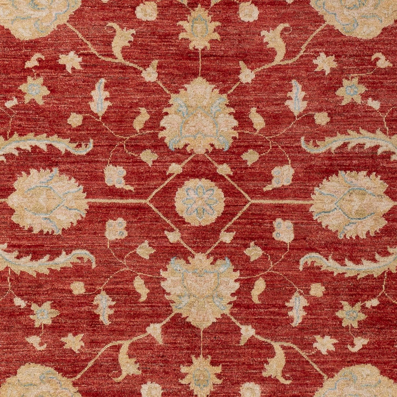 Ziegler Rug - 290 x 204 cm - dark red