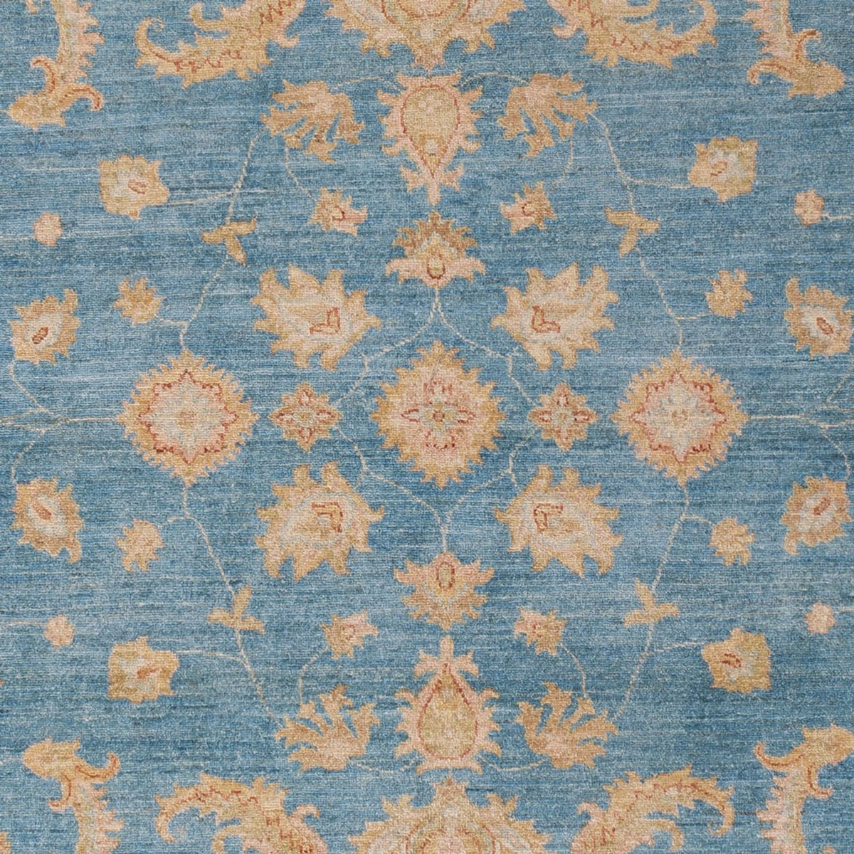 Ziegler Rug - 301 x 202 cm - light blue