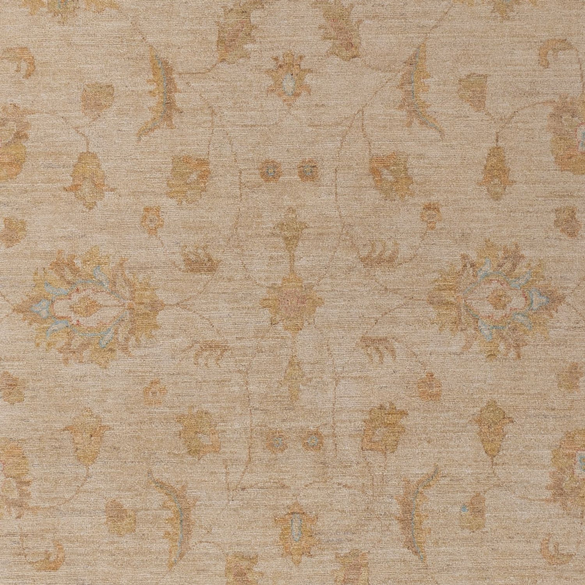 Ziegler Rug - 299 x 205 cm - beige