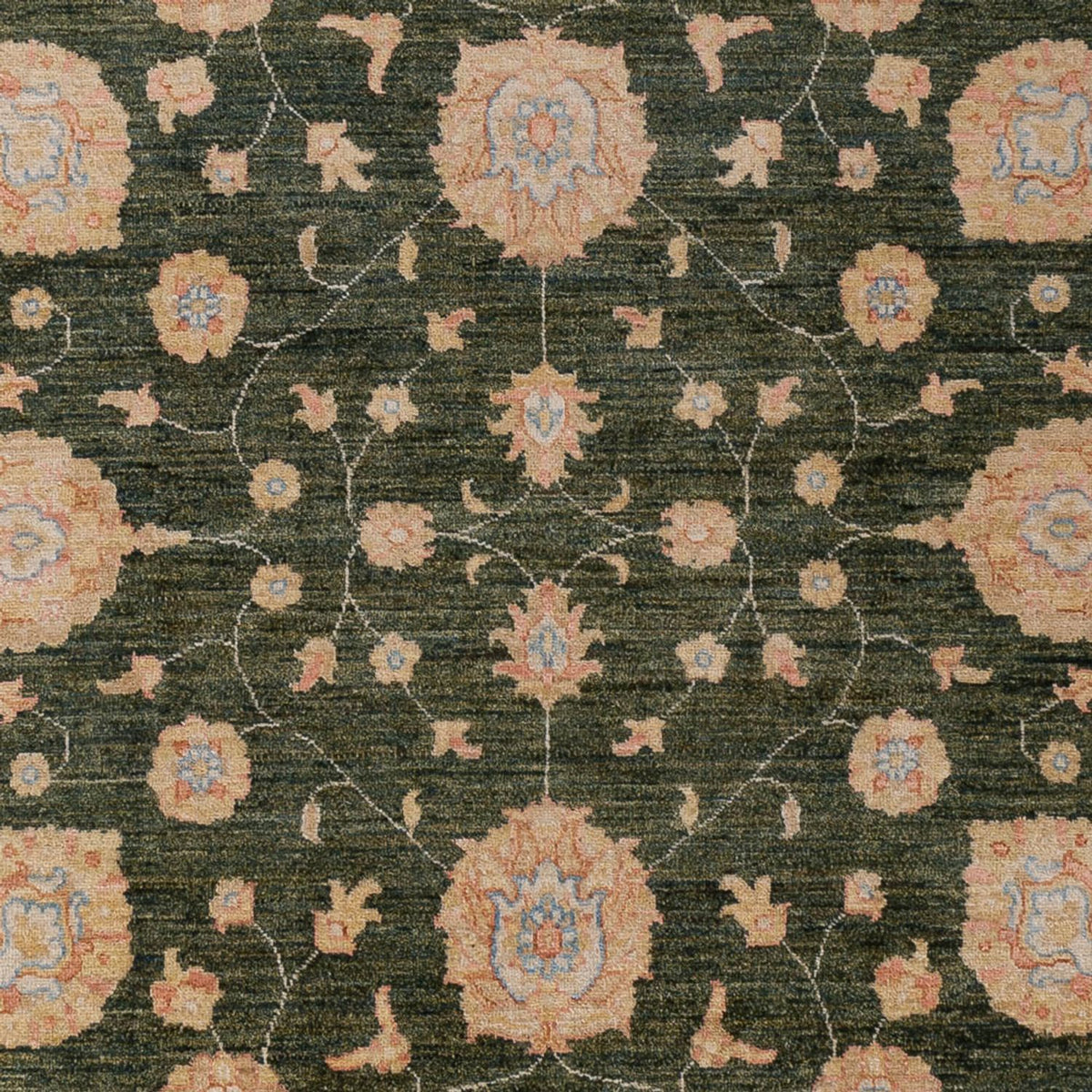 Ziegler Rug - 298 x 205 cm - dark green