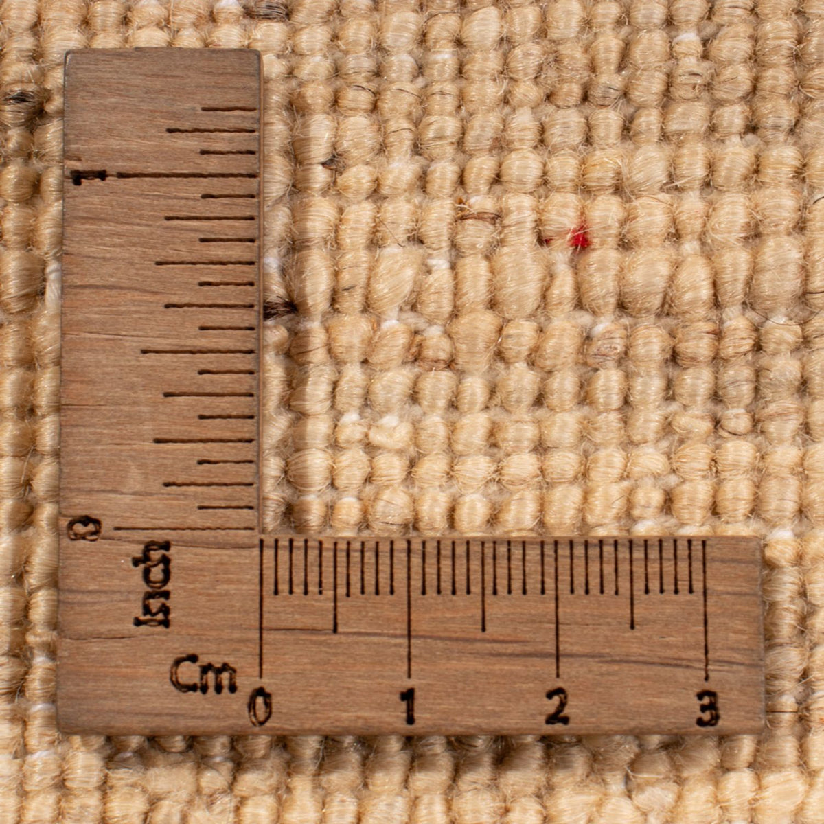 Ziegler Rug - Ariana - 299 x 209 cm - beige