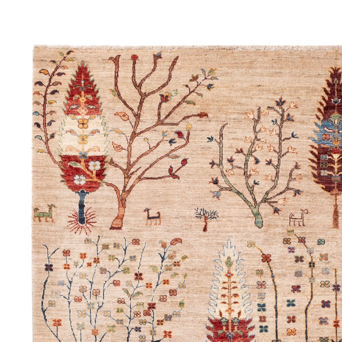 Ziegler Rug - Ariana - 312 x 212 cm - beige