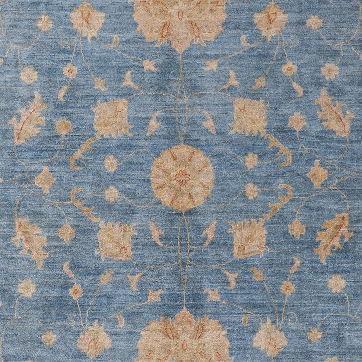 Ziegler Rug - Modern - 300 x 206 cm - blue
