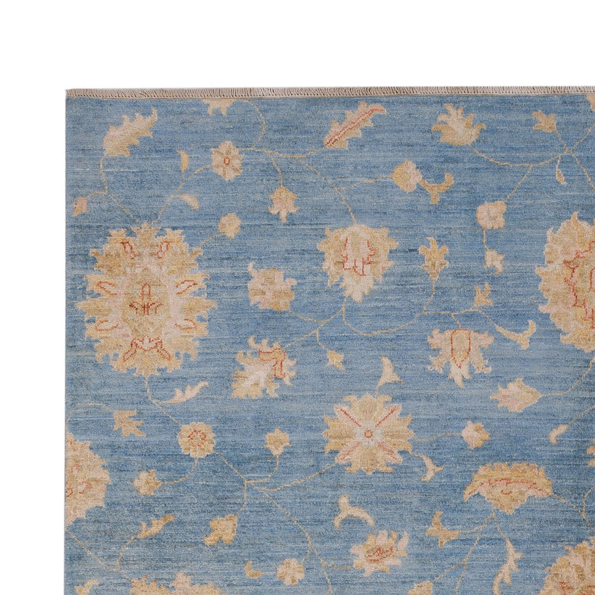 Ziegler Rug - Modern - 300 x 206 cm - blue