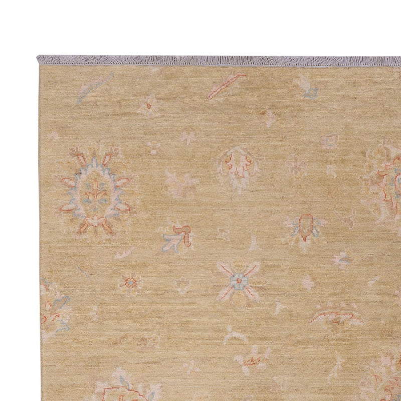 Ziegler Rug - 290 x 205 cm - beige