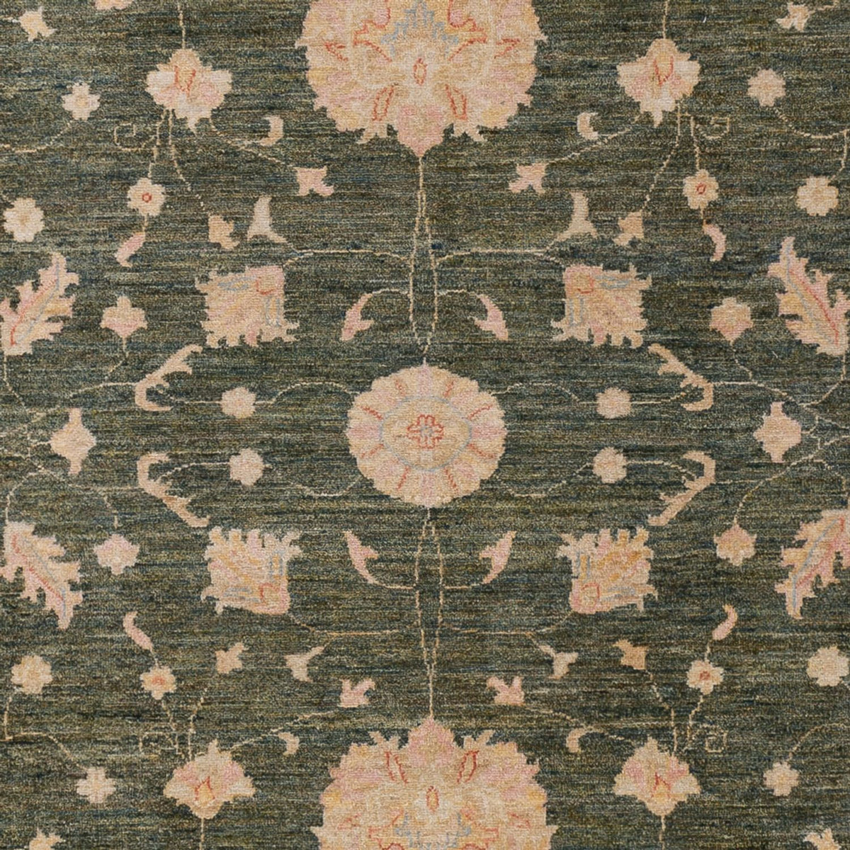 Ziegler Rug - Modern - 294 x 205 cm - dark green