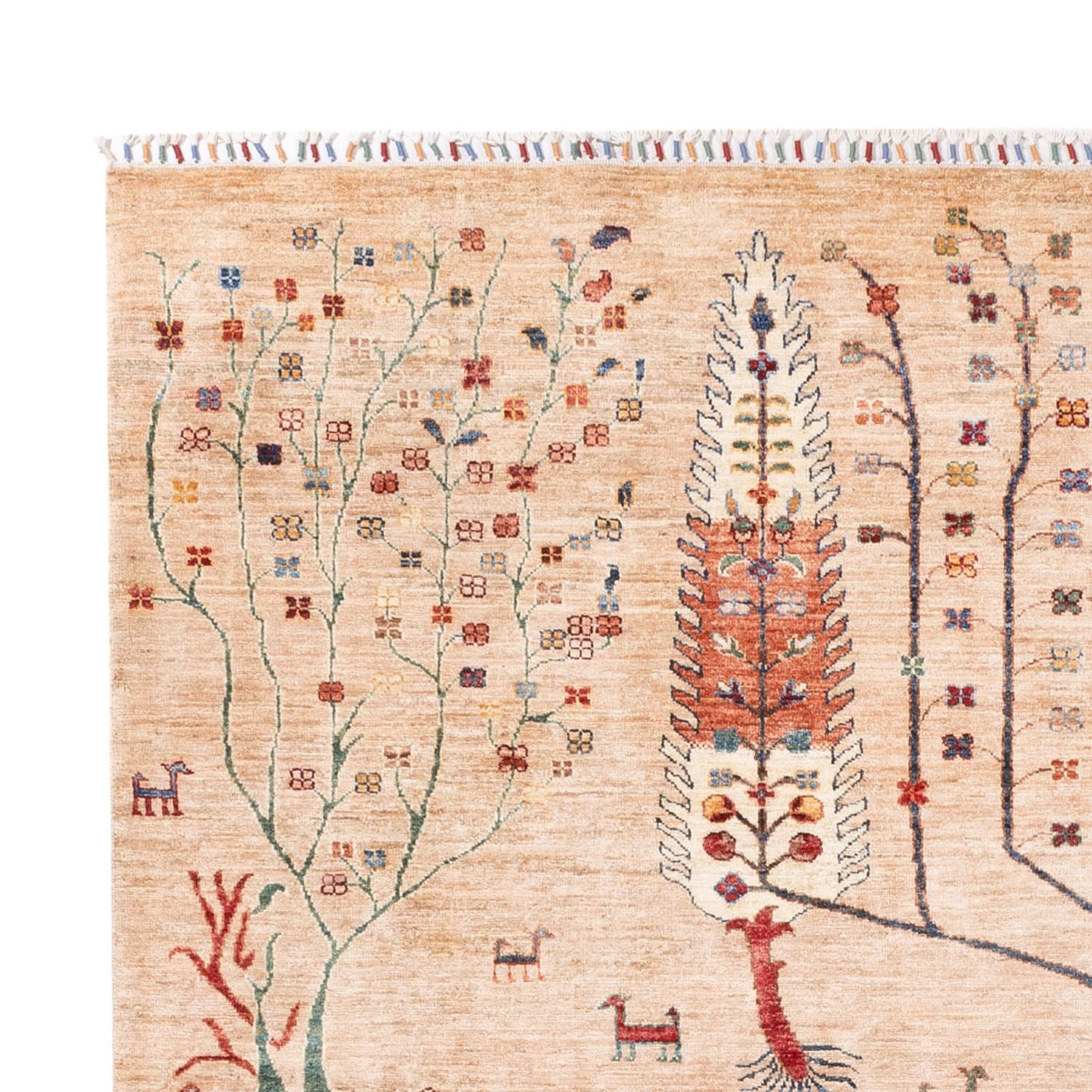Ariana Rug 295x204cm - Oriental Rug