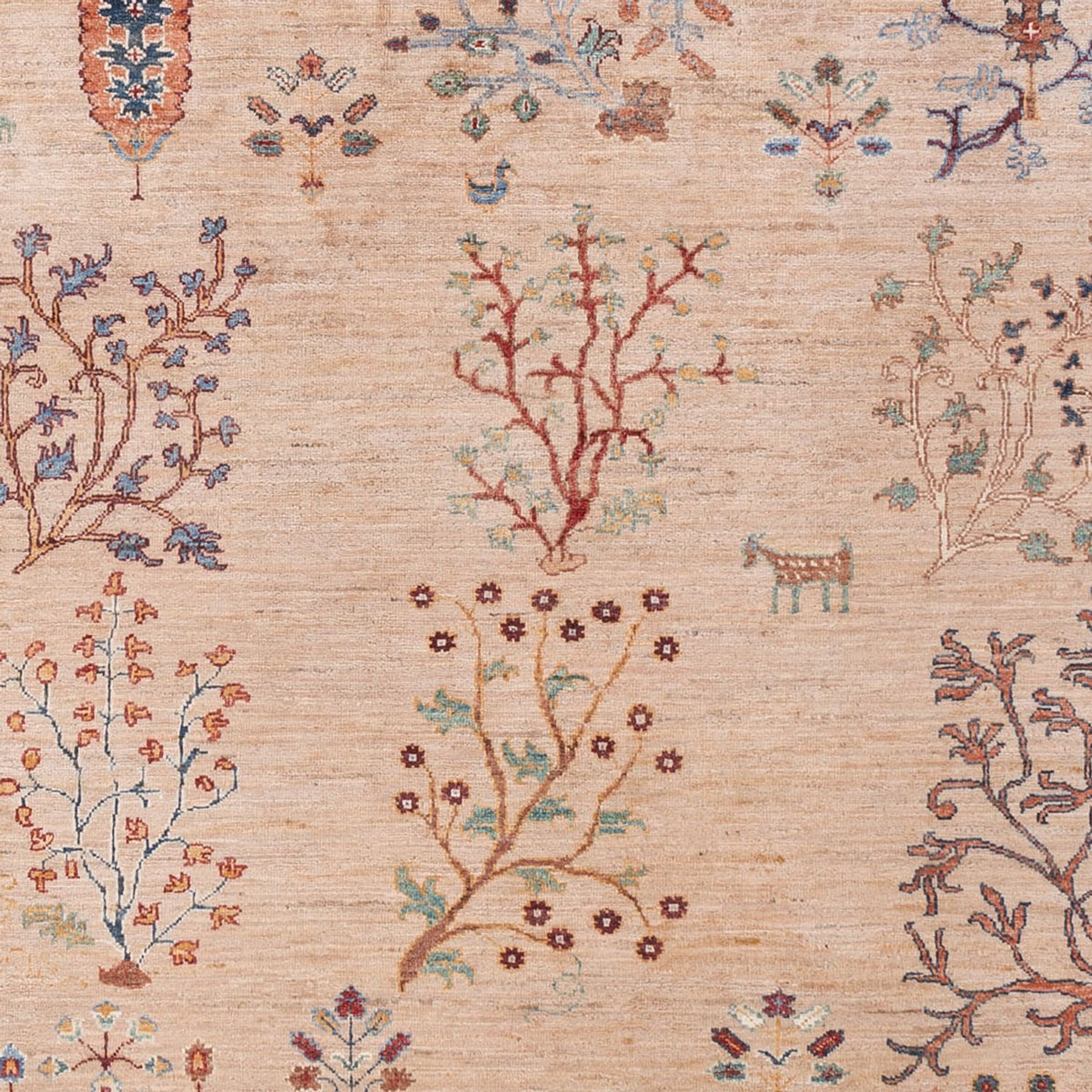 Ziegler Rug - Ariana - 293 x 206 cm - beige