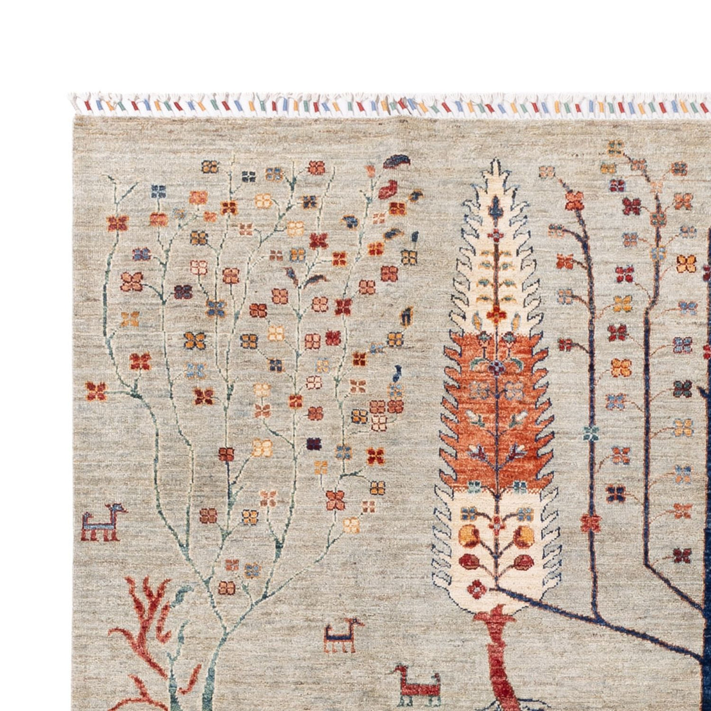 Ziegler Rug - Ariana - 294 x 204 cm - sand