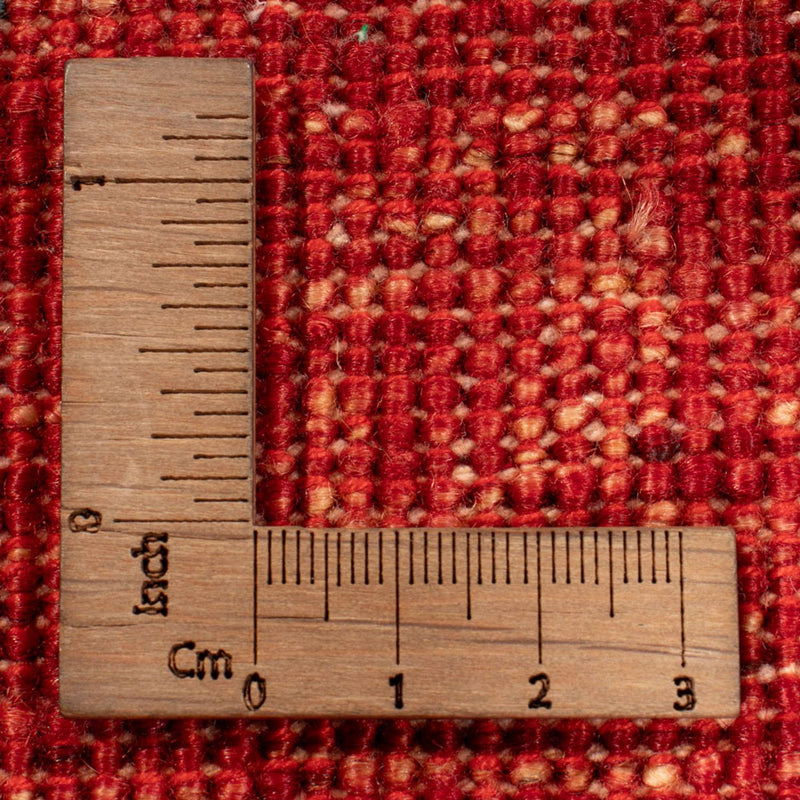 Ziegler Rug - Ariana - 294 x 207 cm - red