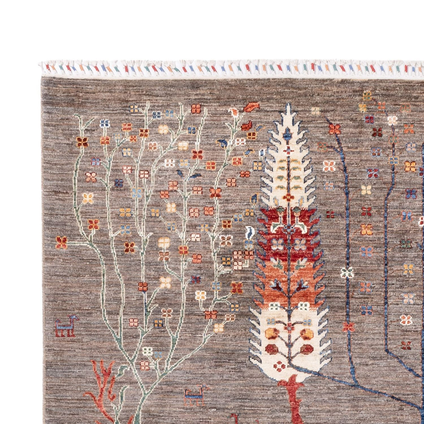 Ziegler Rug - Ariana - 298 x 200 cm - dark beige
