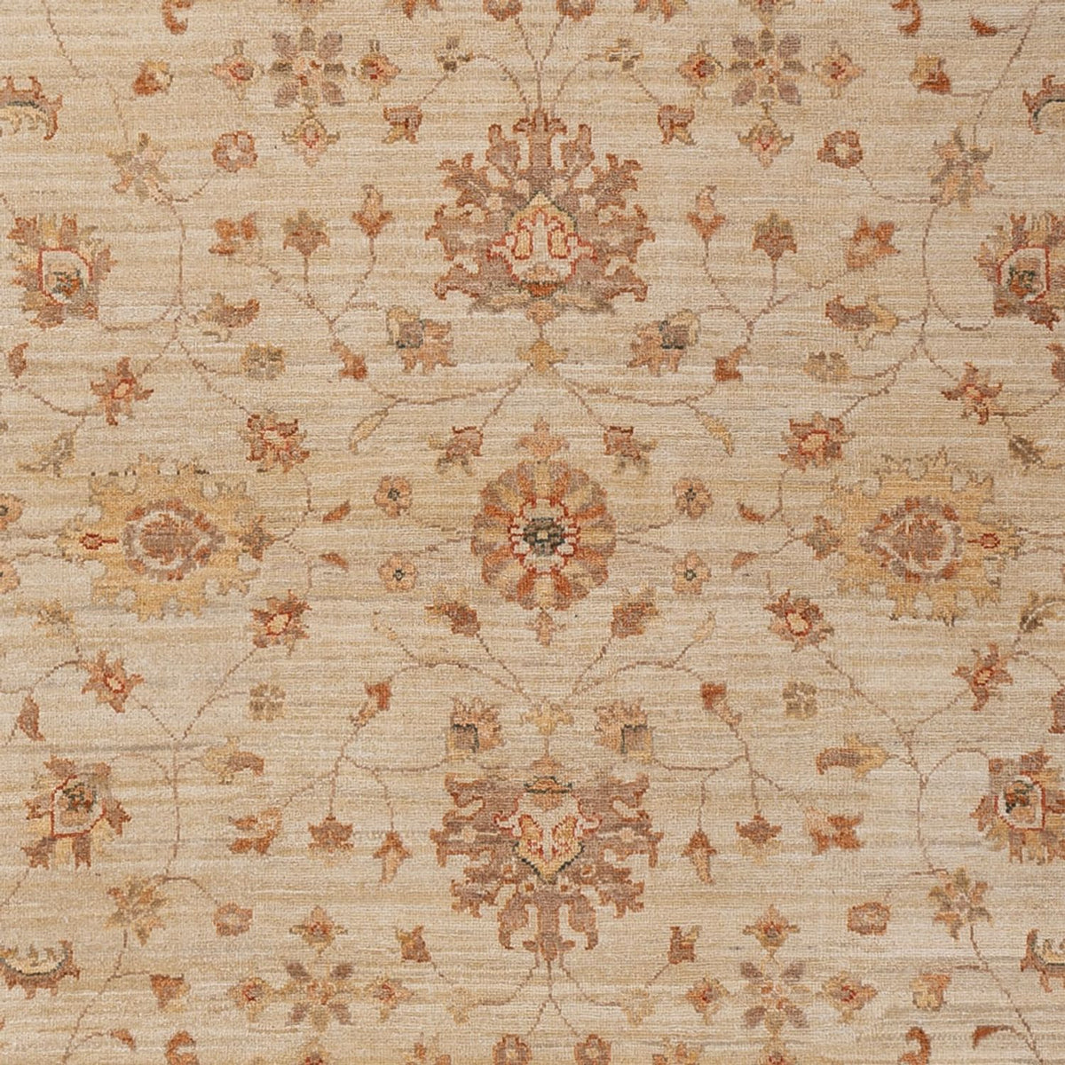 Ziegler Rug - 306 x 205 cm - beige
