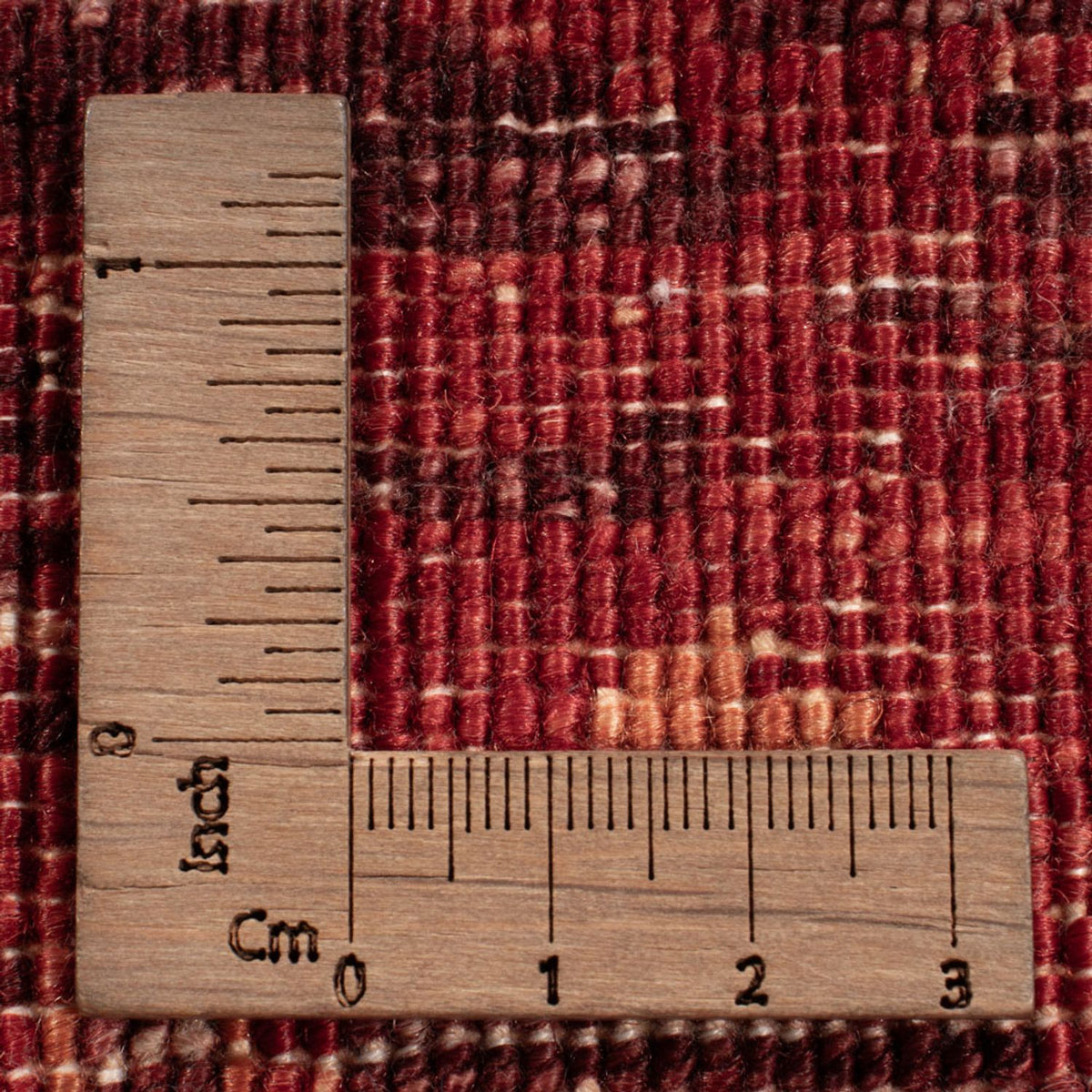 Designer Rug - 304 x 237 cm - multicolored