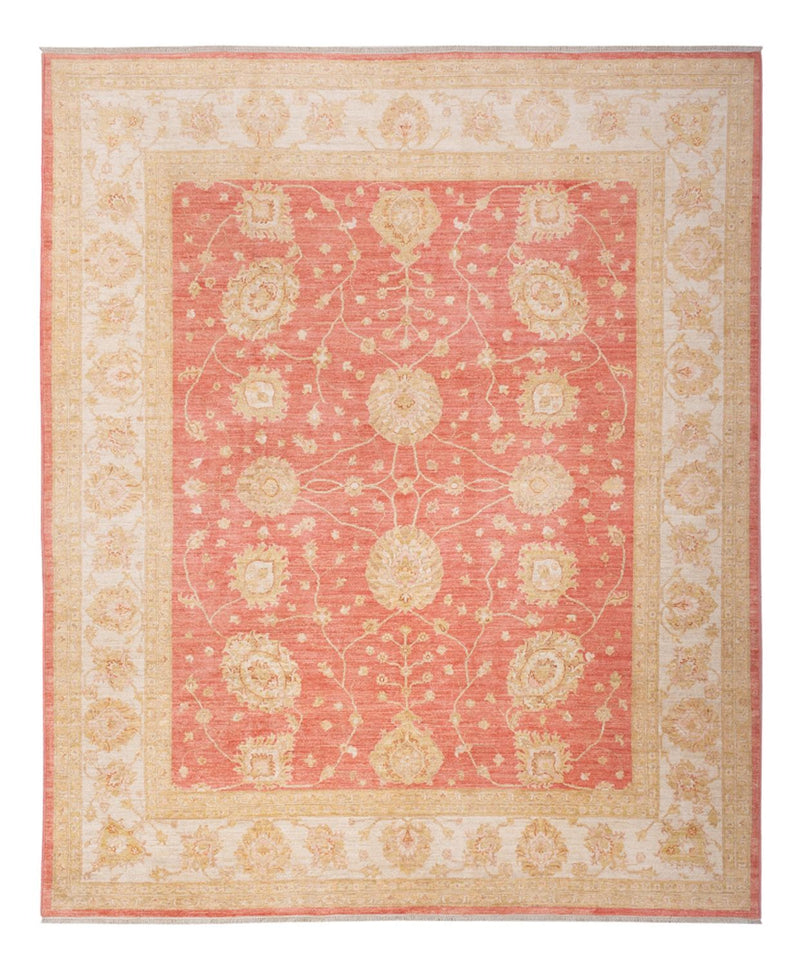 Ziegler Rug - 296 x 254 cm - light red