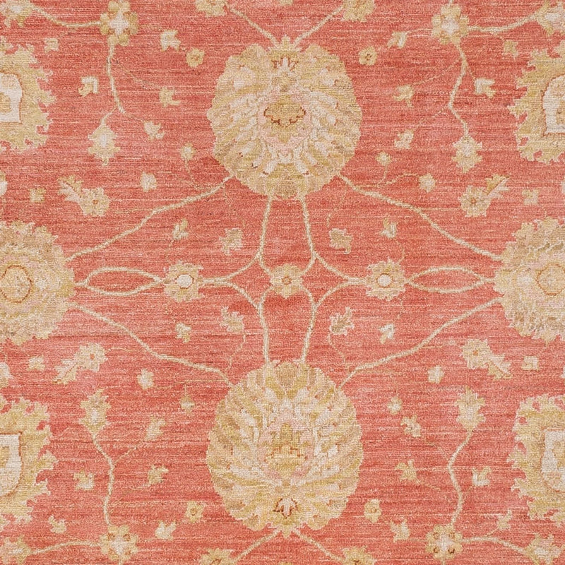 Ziegler Rug - 296 x 254 cm - light red