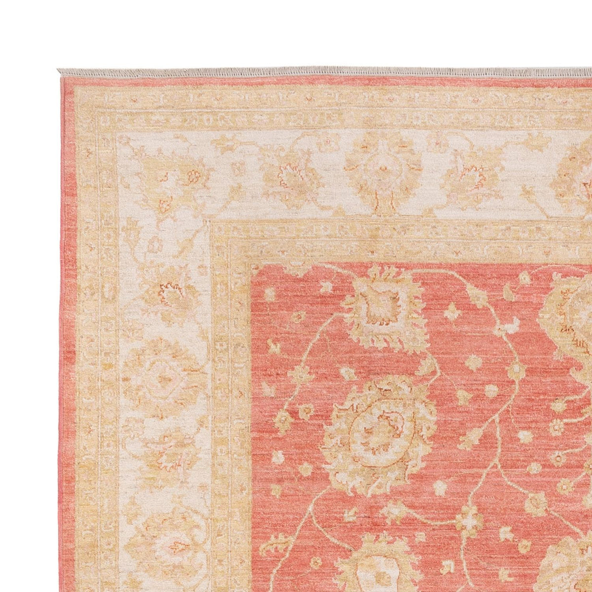 Ziegler Rug - 296 x 254 cm - light red