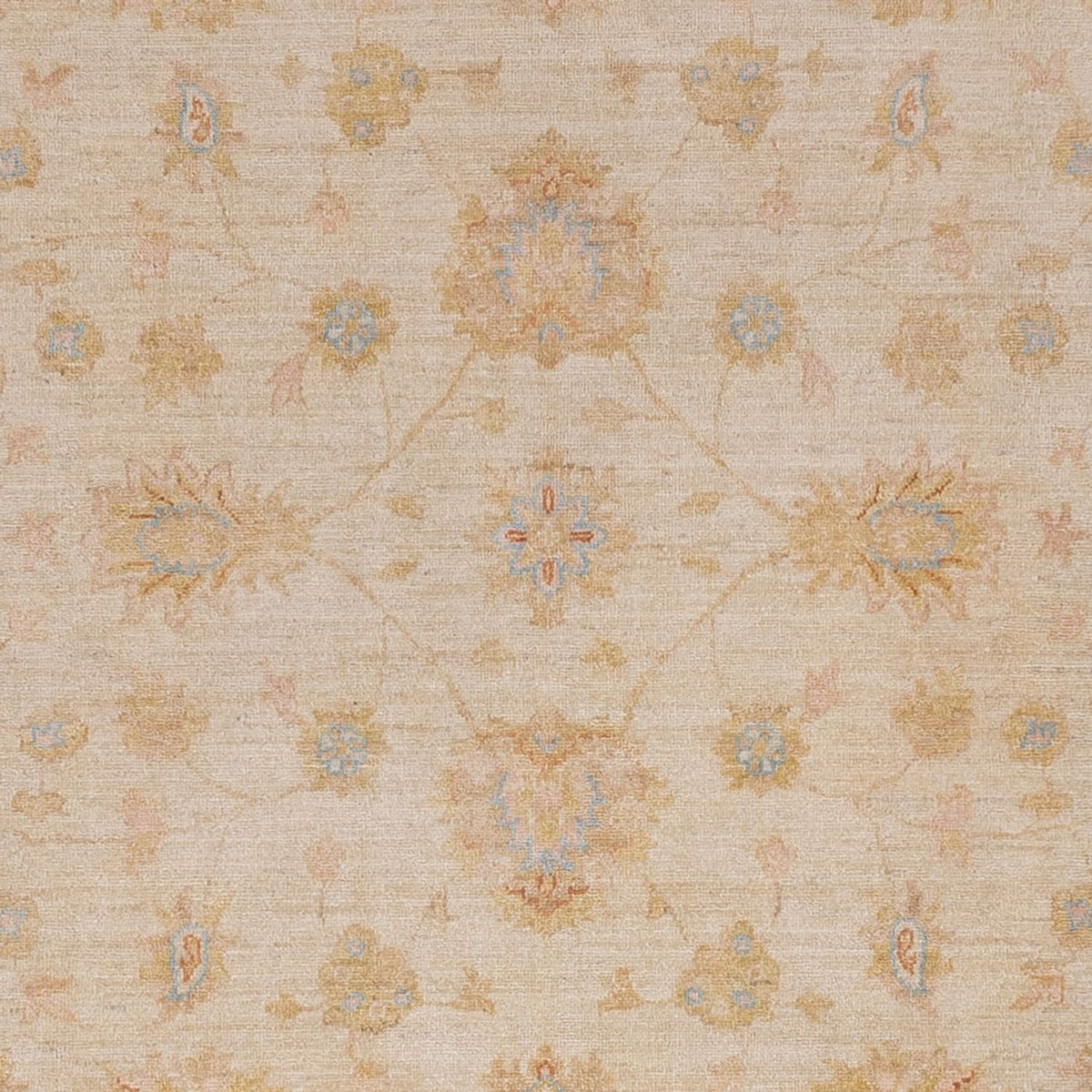 Ziegler Rug - 297 x 257 cm - beige