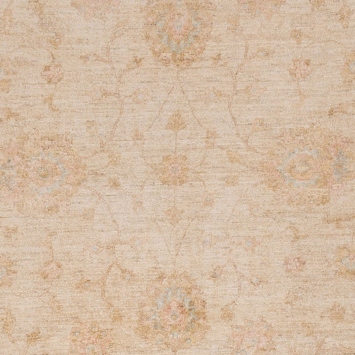 Ziegler Rug - 309 x 250 cm - beige