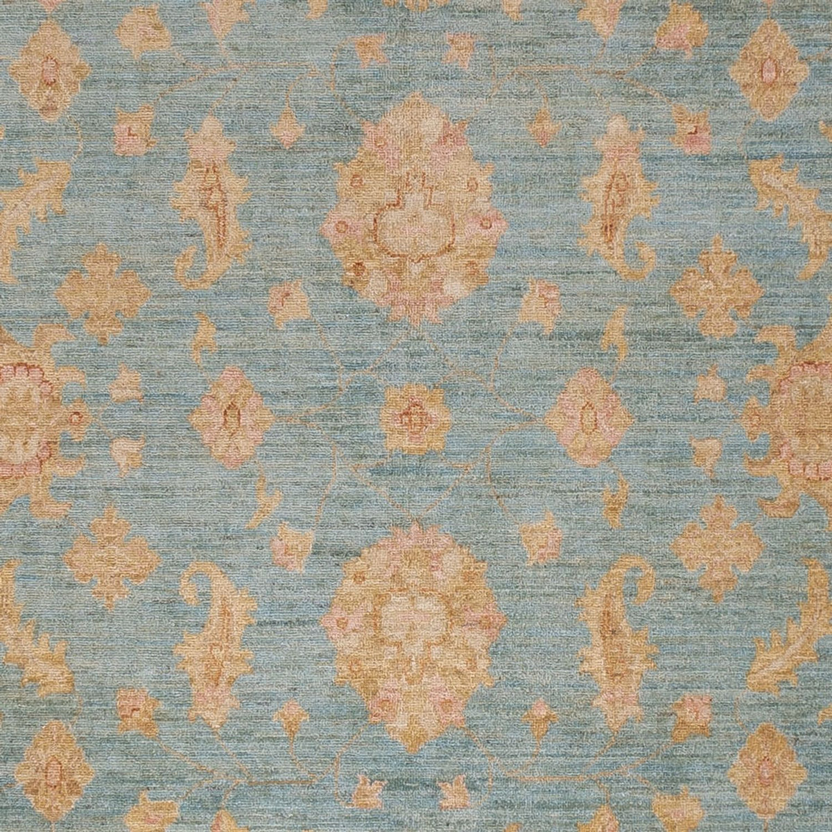 Ziegler Rug - 298 x 254 cm - turquoise