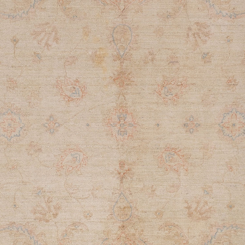 Ziegler Rug - 291 x 256 cm - beige