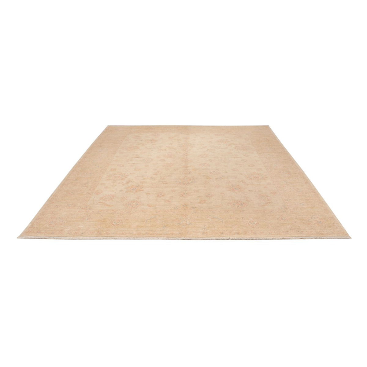 Ziegler Rug - 291 x 256 cm - beige