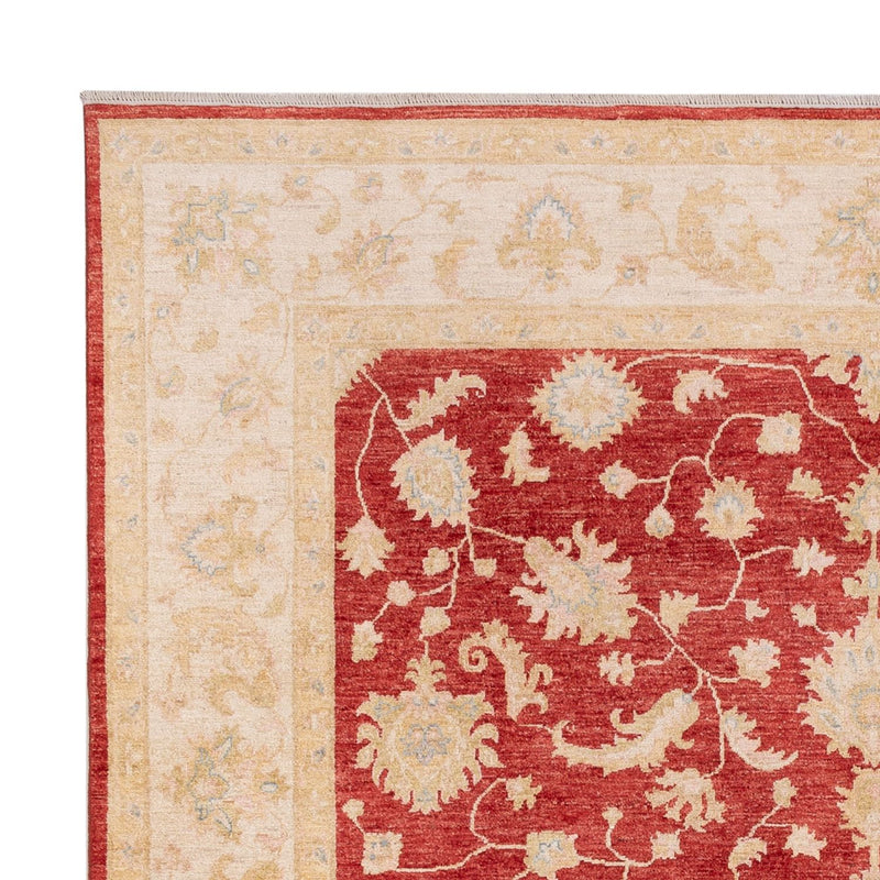 Ziegler Rug - 294 x 253 cm - red