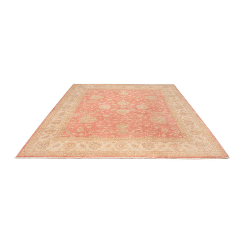 Ziegler Rug - 301 x 254 cm - light red
