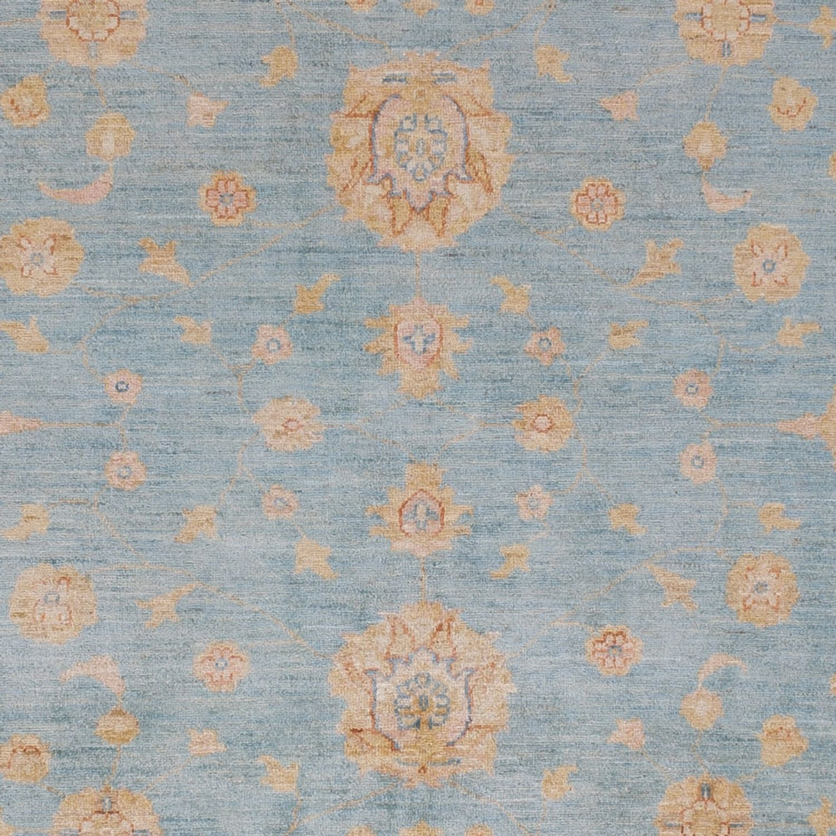 Ziegler Rug - 295 x 256 cm - light blue