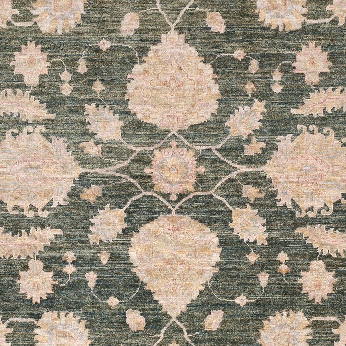 Ziegler Rug - Modern - 308 x 251 cm - green