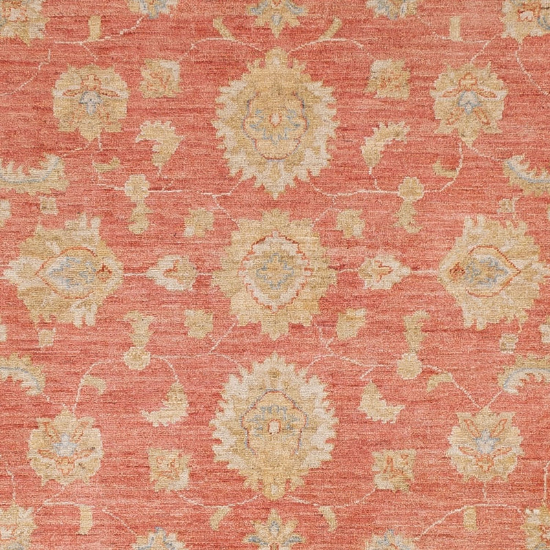 Ziegler Rug - 291 x 250 cm - light red