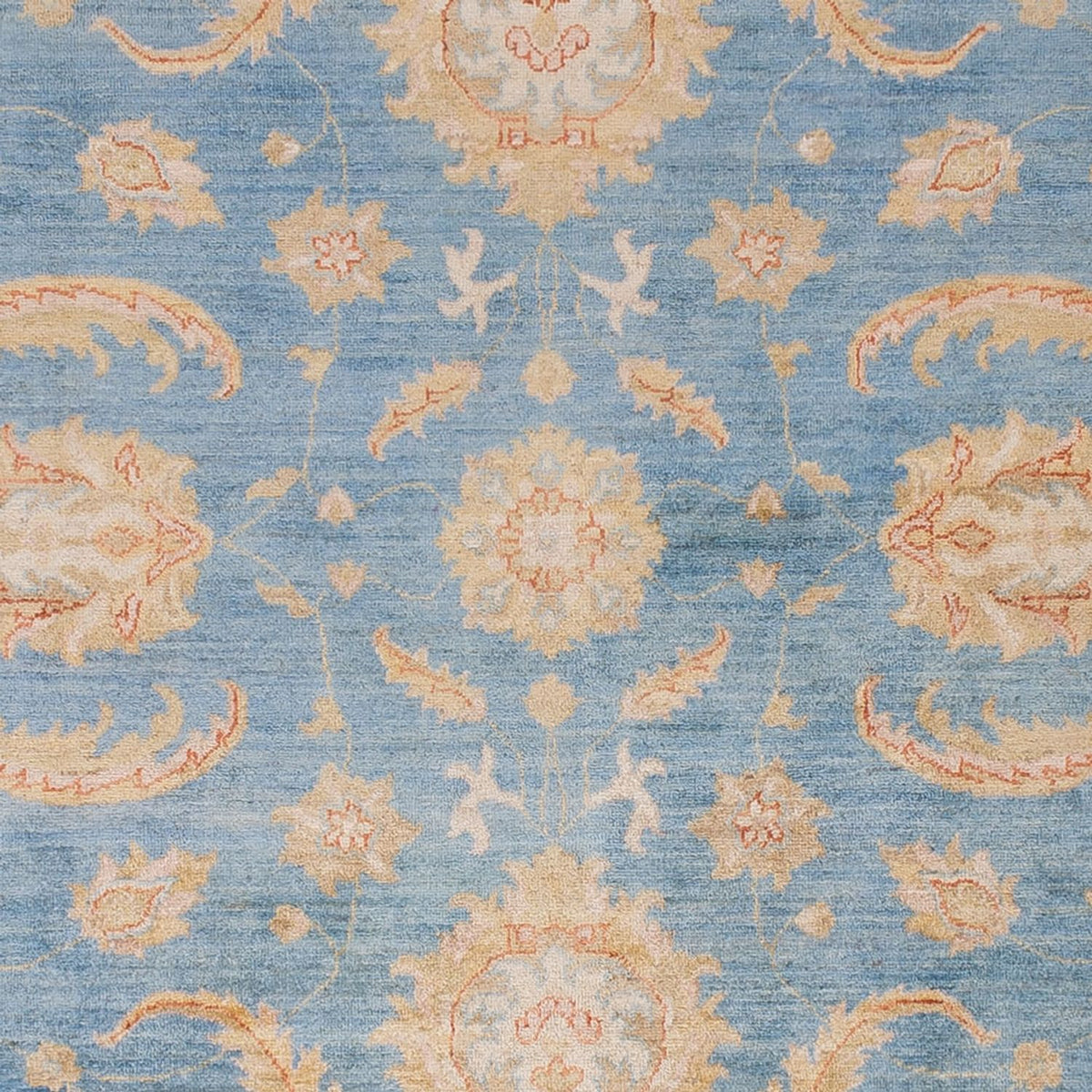 Ziegler Rug - 297 x 255 cm - light blue