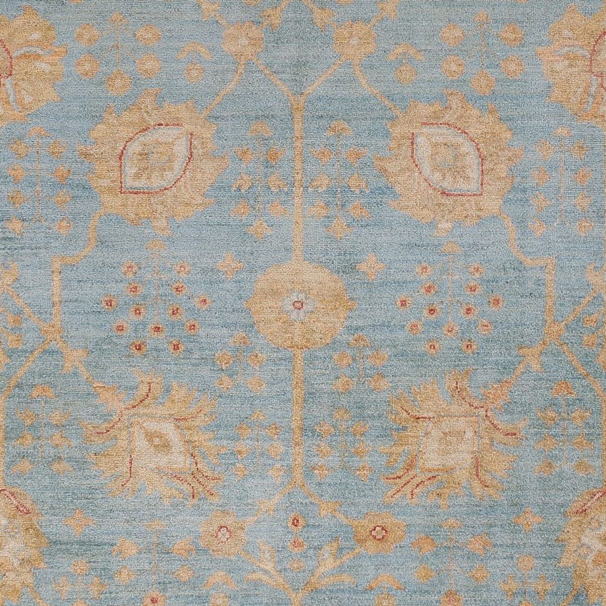 Ziegler Rug - 299 x 253 cm - light blue