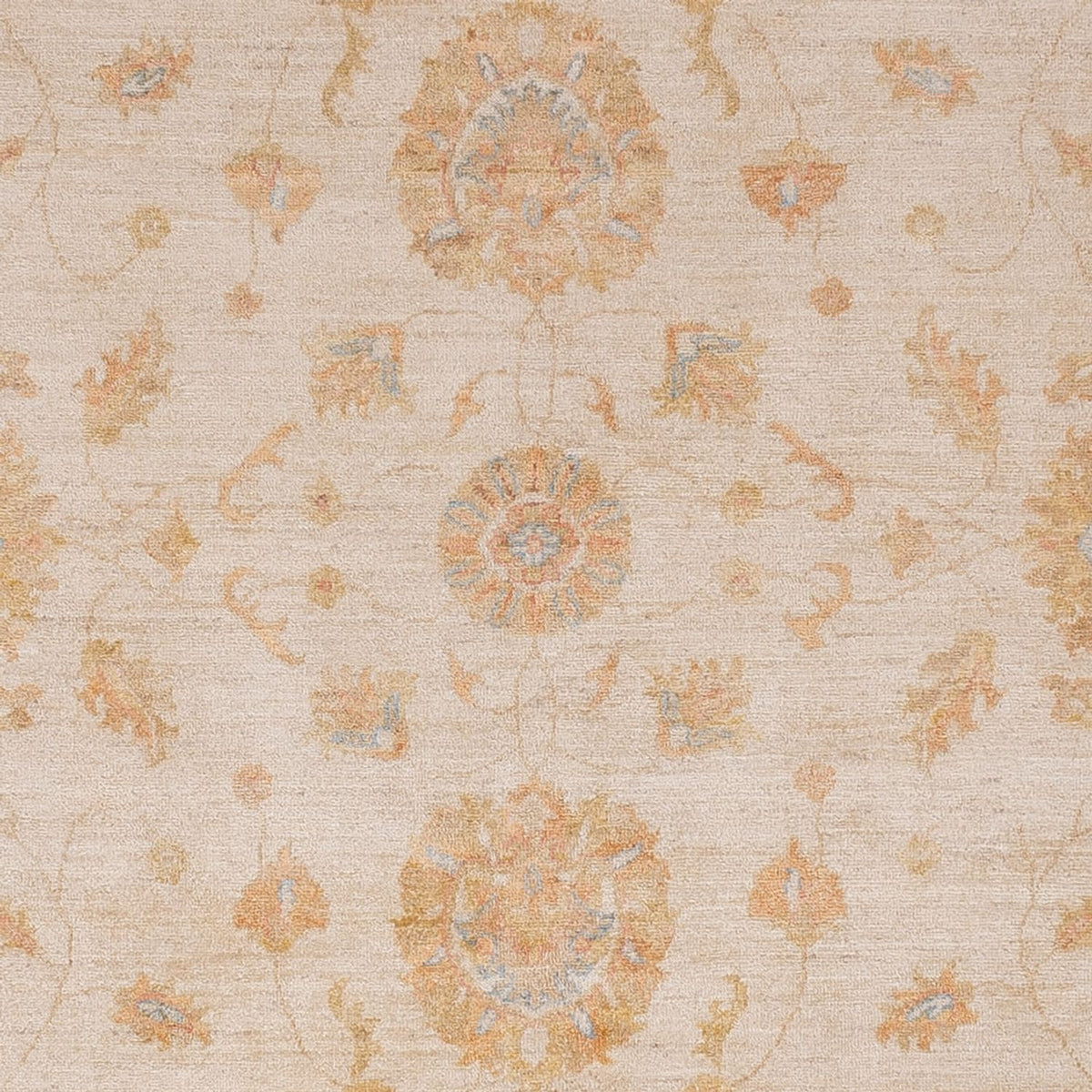 Ziegler Rug - 296 x 256 cm - beige