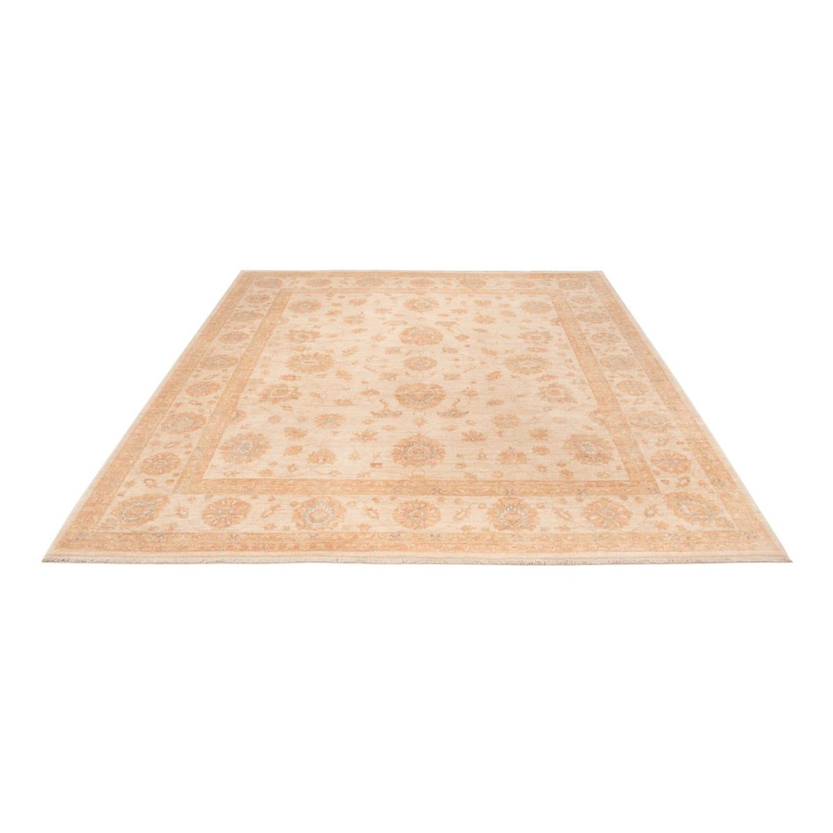 Ziegler Rug - 296 x 256 cm - beige