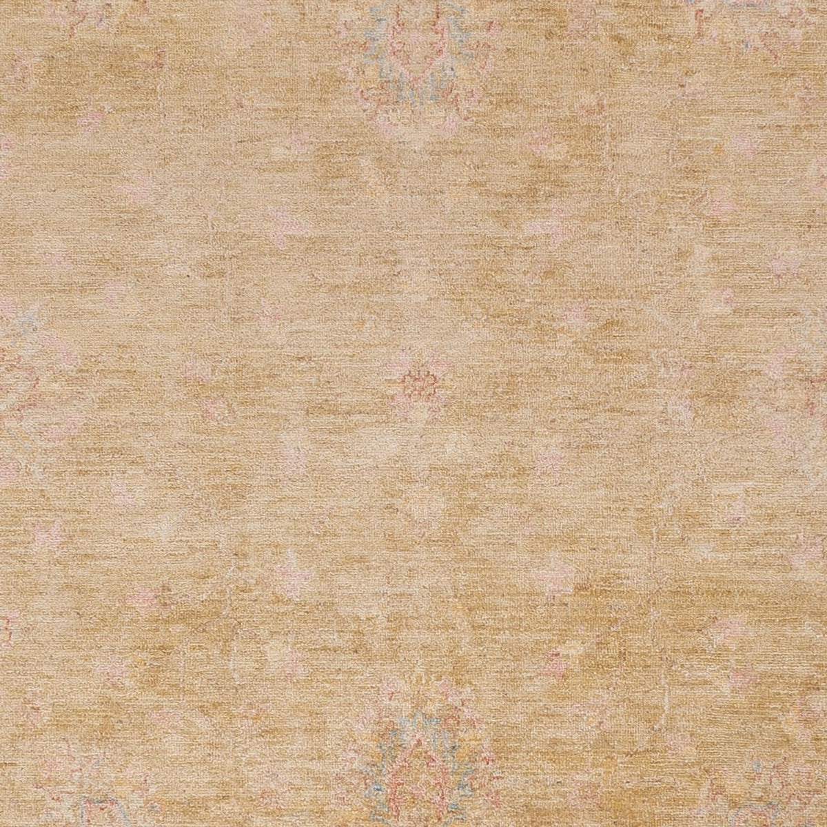 Ziegler Rug - 297 x 260 cm - beige