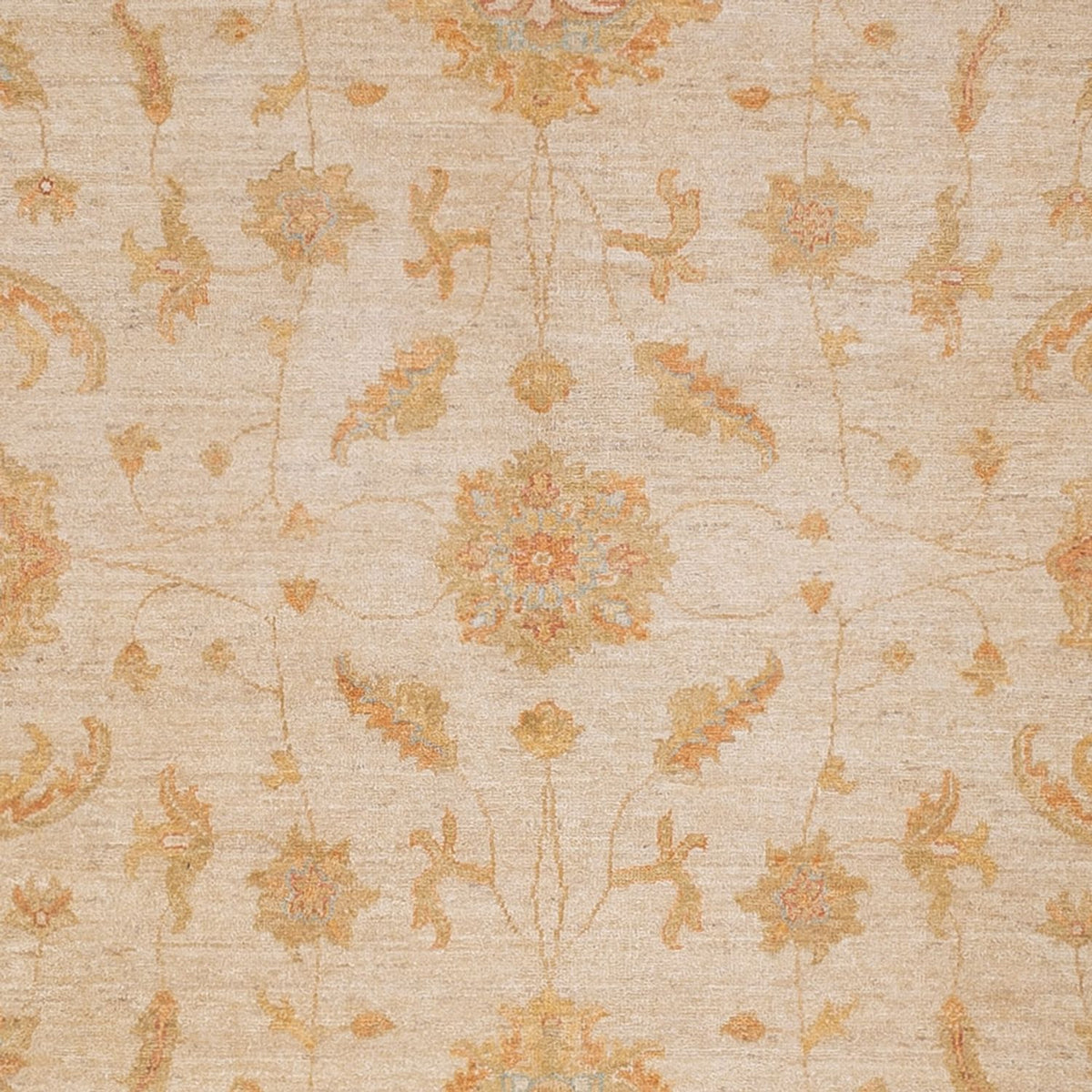 Ziegler Rug - 315 x 248 cm - beige