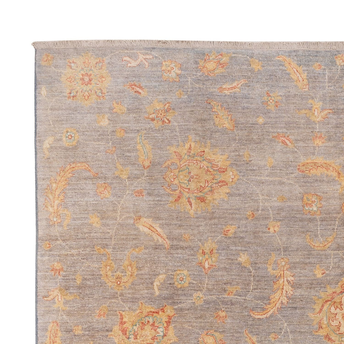 Ziegler Rug - Modern - 304 x 250 cm - grey