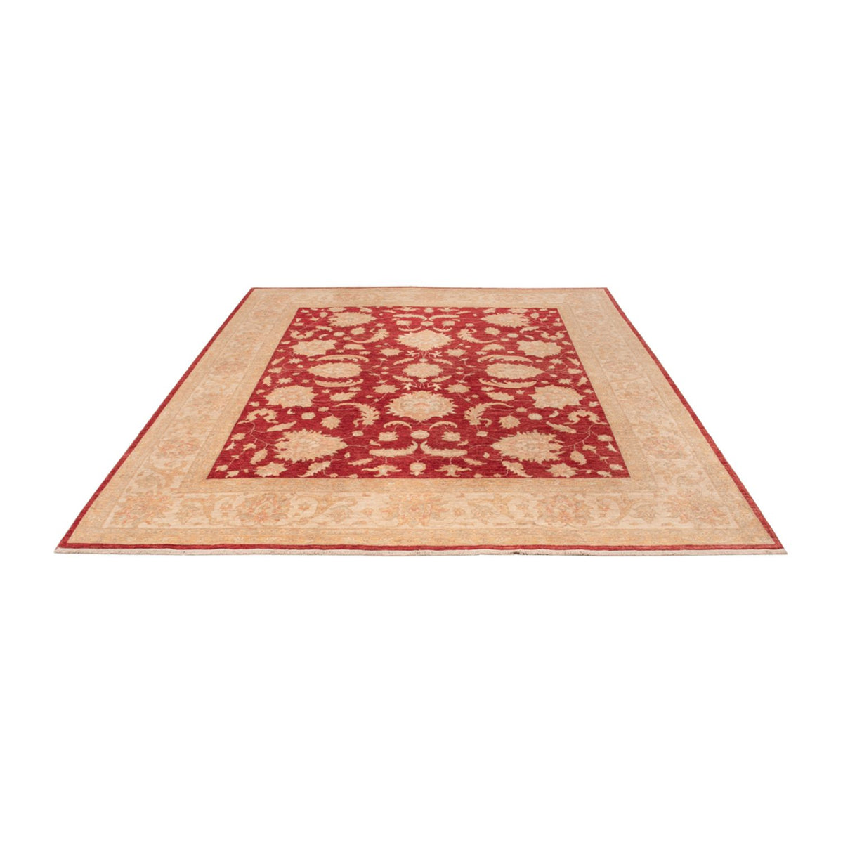 Ziegler Rug - 297 x 252 cm - red