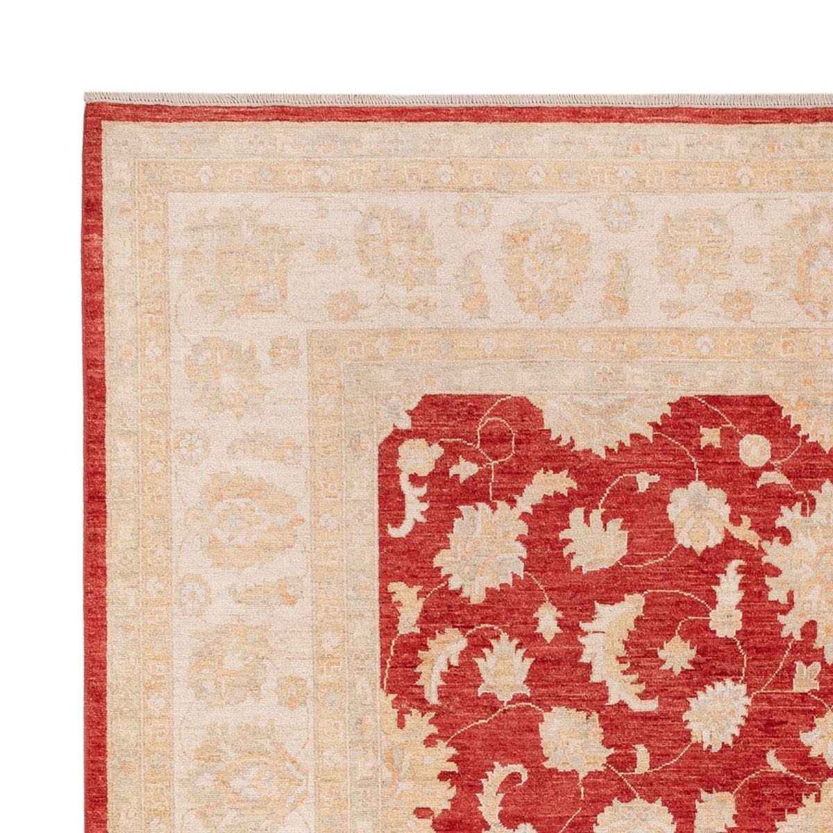 Ziegler Rug - 303 x 250 cm - red