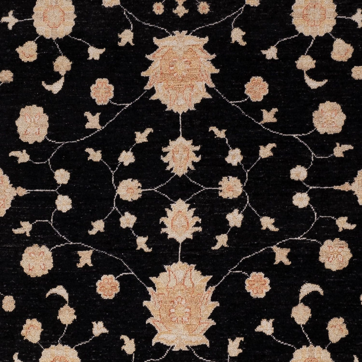 Ziegler Rug - 303 x 258 cm - black