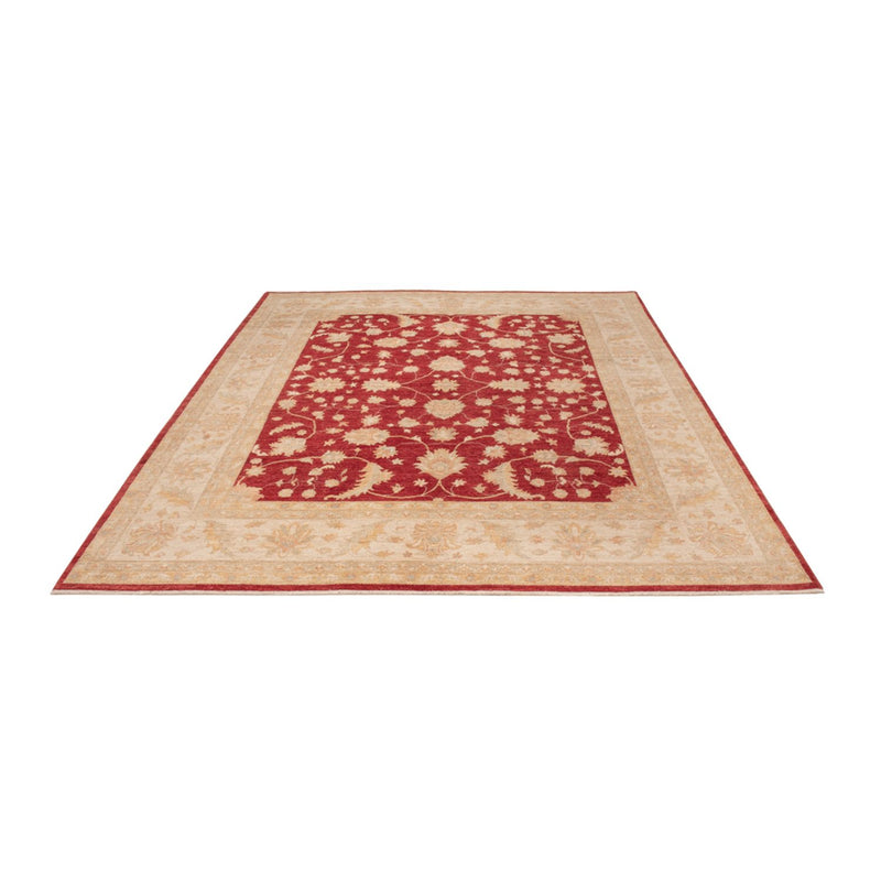 Ziegler Rug - 299 x 247 cm - red