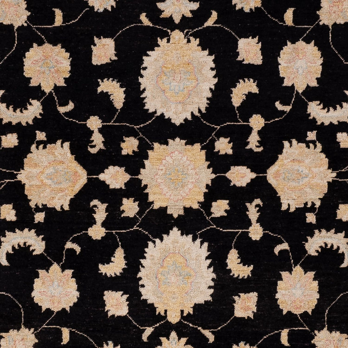 Ziegler Rug - 298 x 253 cm - black
