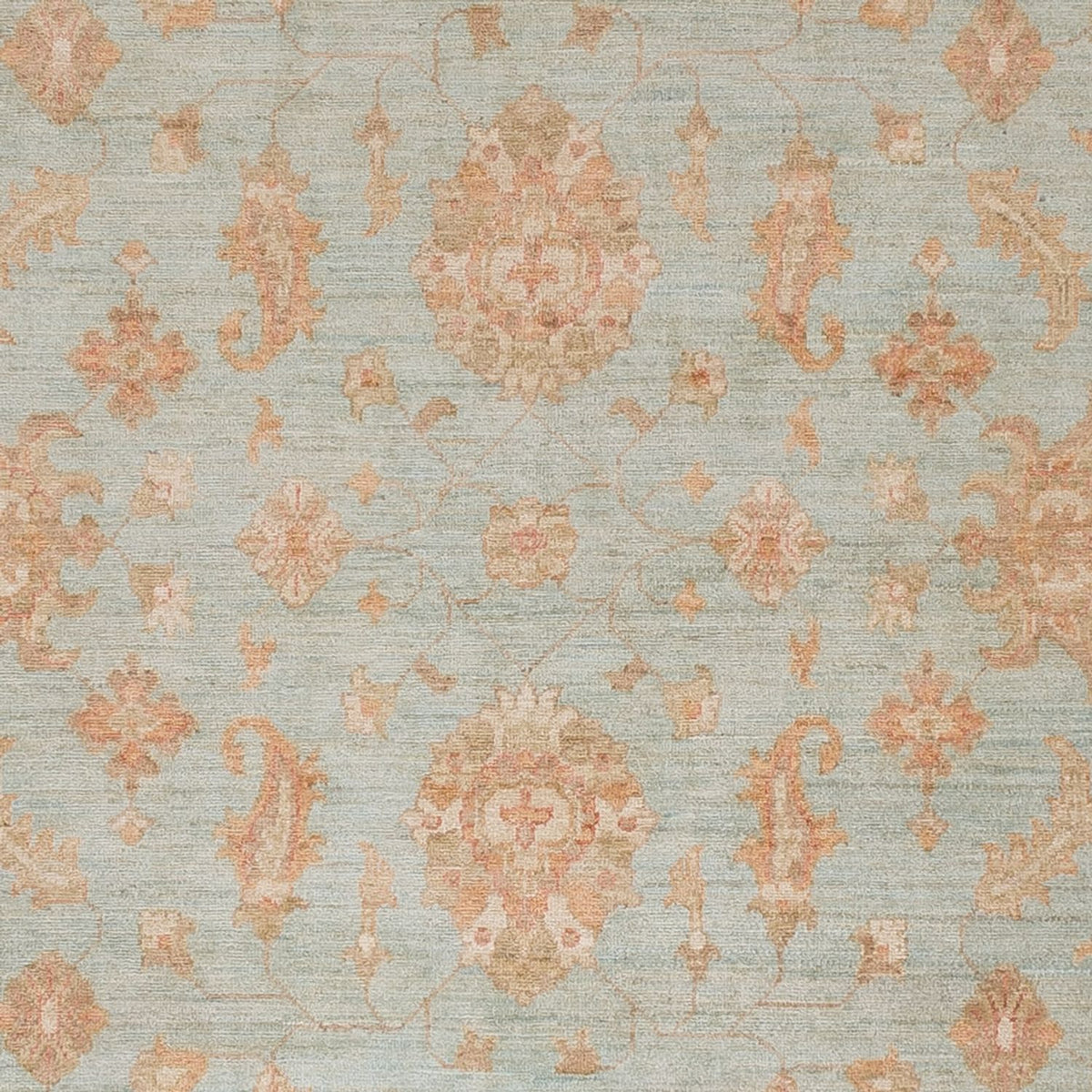 Ziegler Rug - 302 x 242 cm - light blue