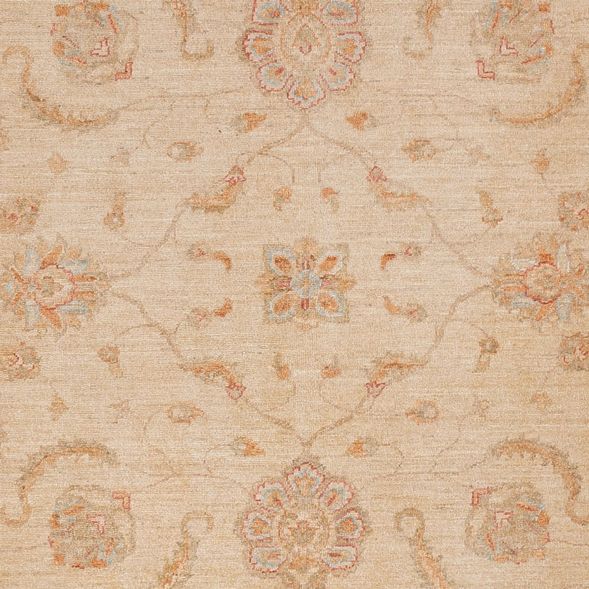 Ziegler Rug - 295 x 258 cm - beige