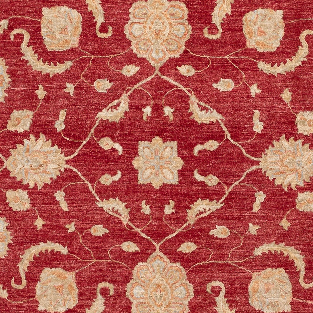 Ziegler Rug - 294 x 250 cm - red