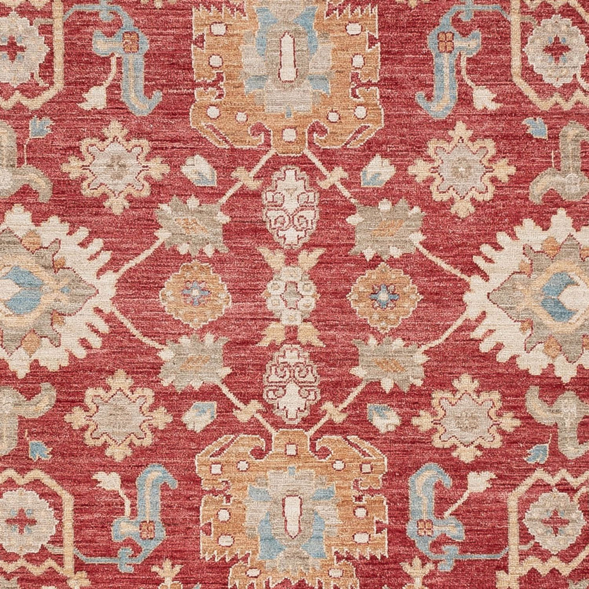 Ziegler Rug - 296 x 253 cm - red