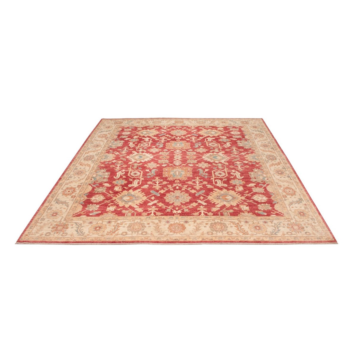 Ziegler Rug - 296 x 253 cm - red