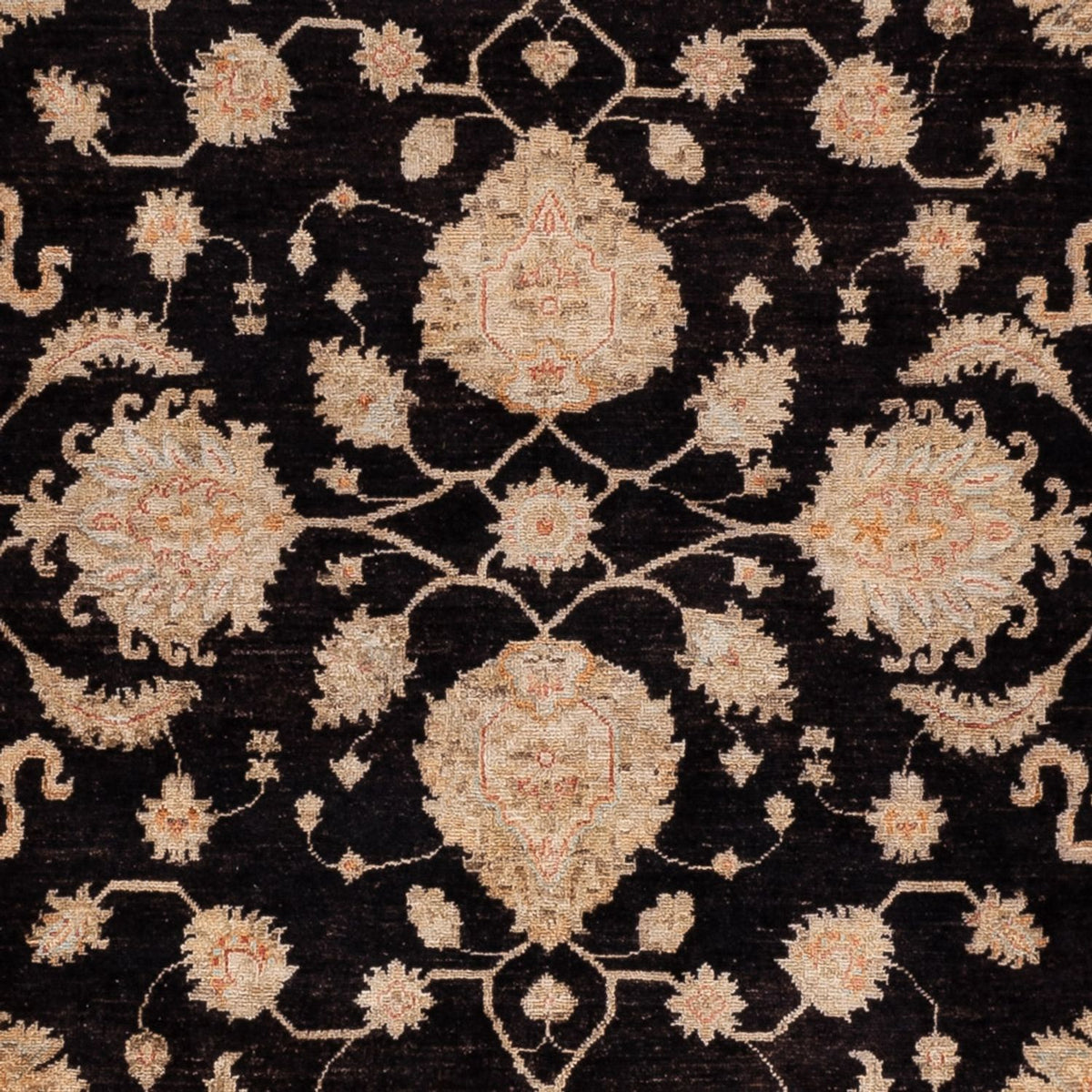 Ziegler Rug - 295 x 247 cm - black