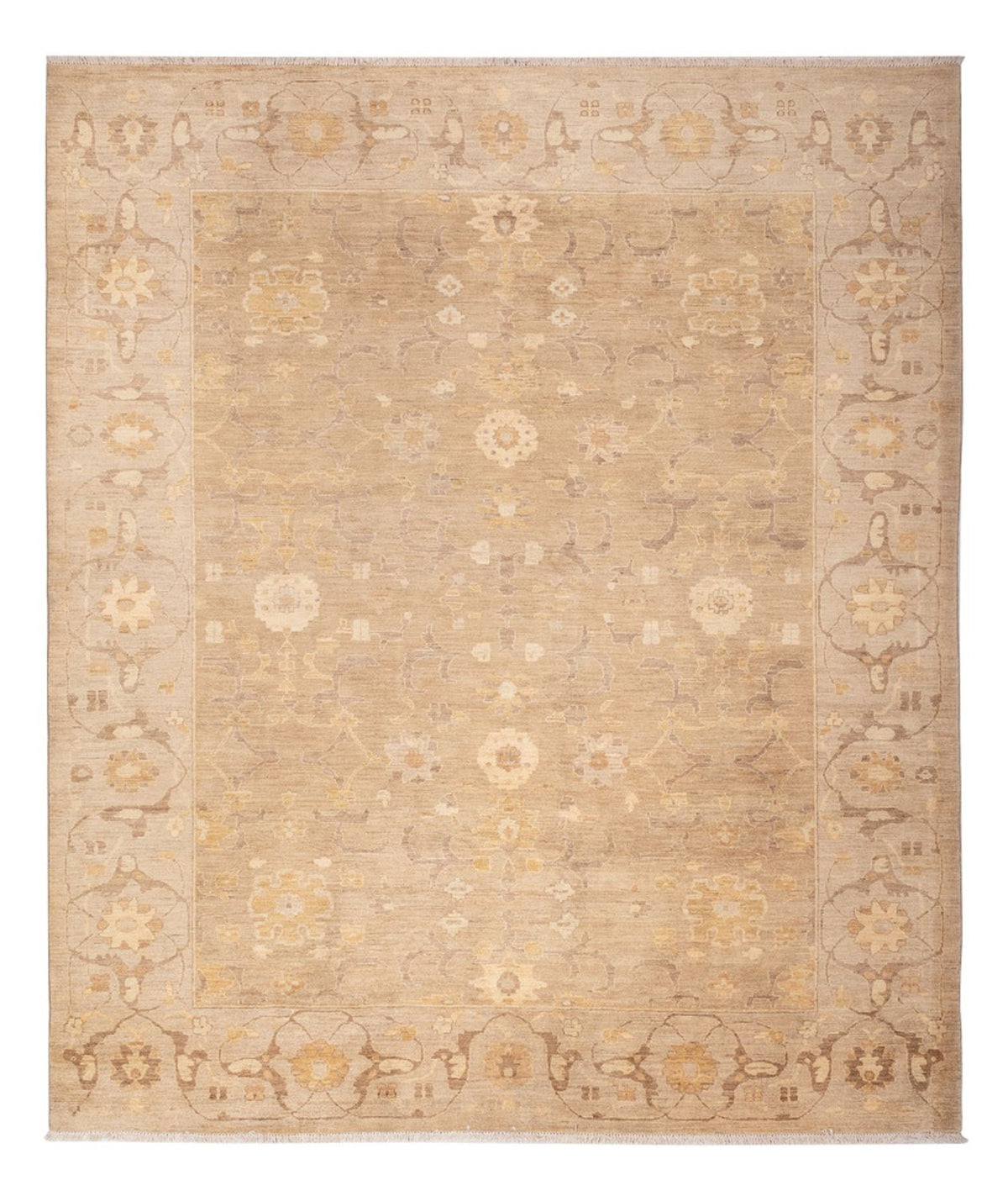 Ziegler Rug - 286 x 248 cm - caramel