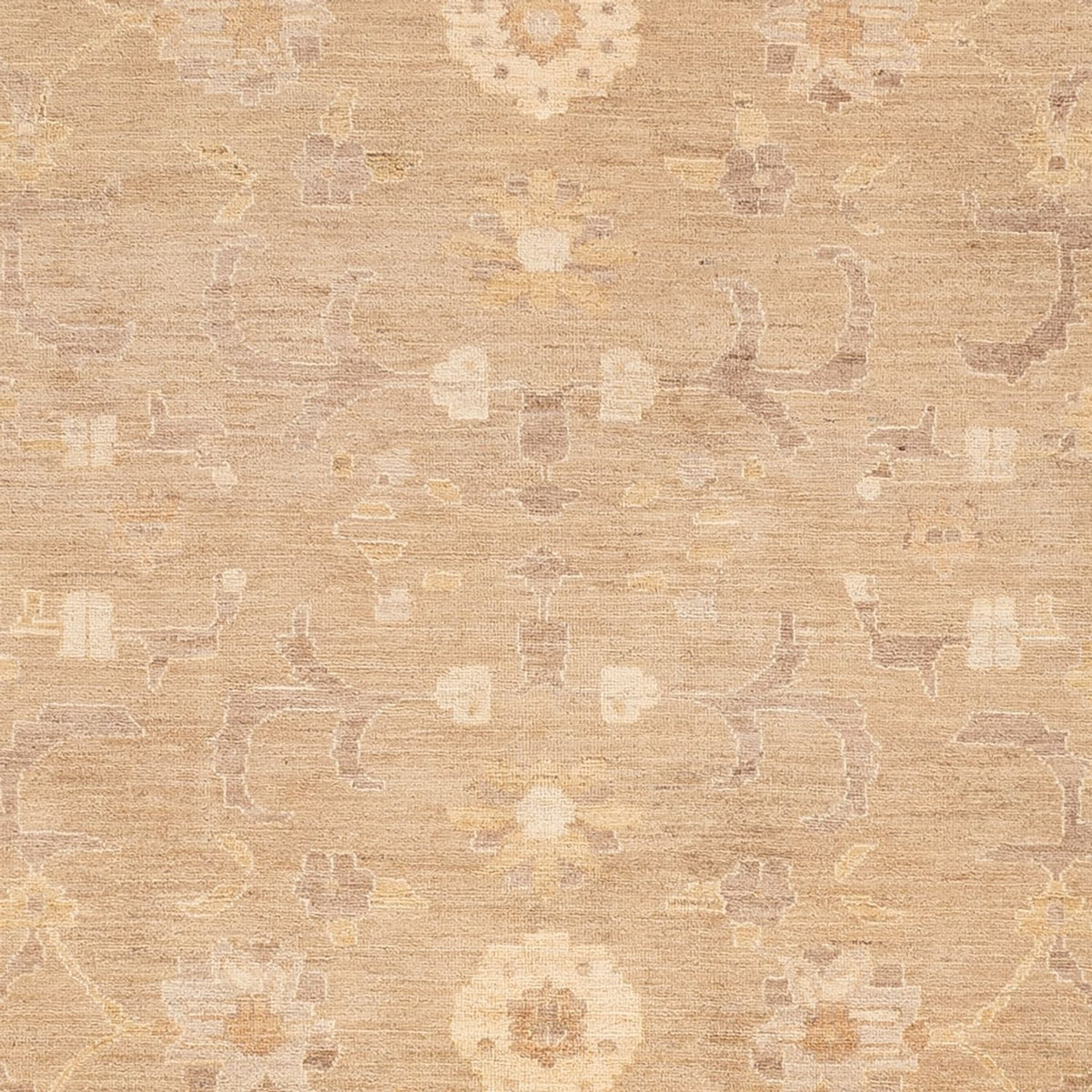 Ziegler Rug - 286 x 248 cm - caramel
